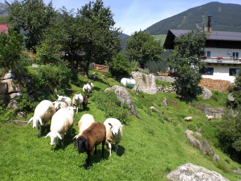 Bauernhof Oberscheffau Βίλα Neukirchen am Großvenediger Εξωτερικό φωτογραφία